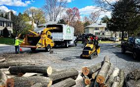 Seasonal Cleanup (Spring/Fall) in Medford, WI